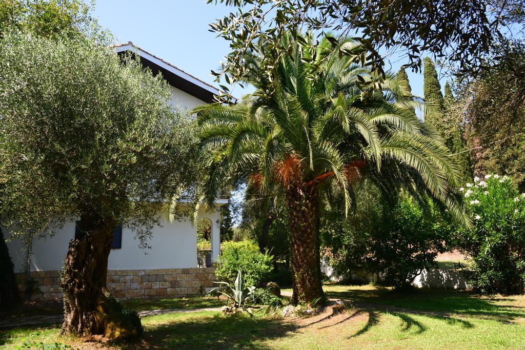 Pension Ipiros Gouvia Esterno foto